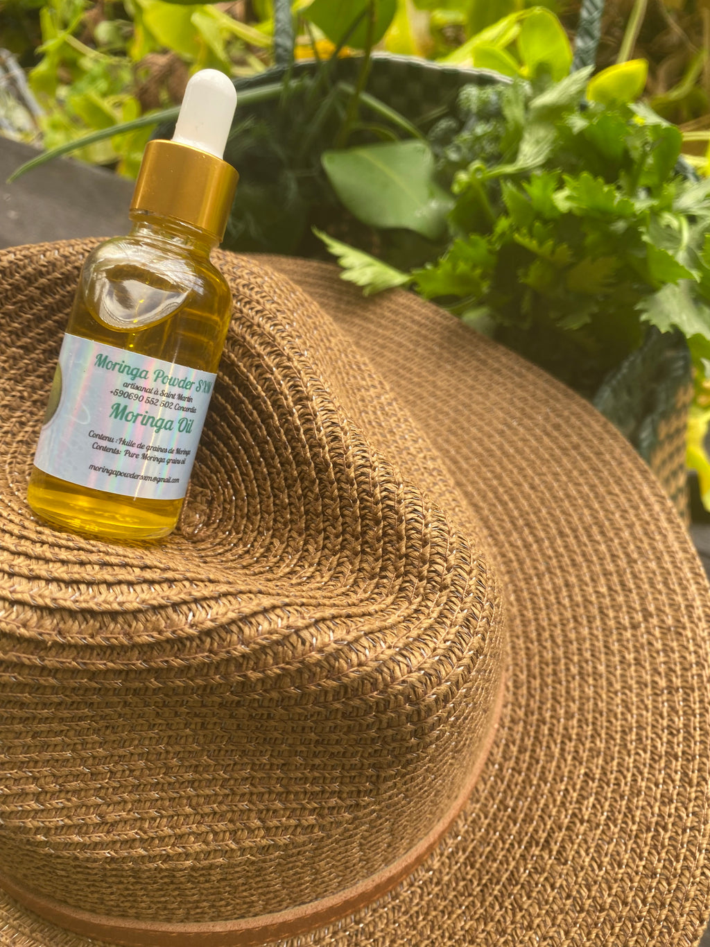 Moringa Seed Oil