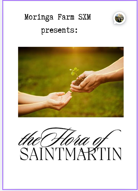 The Flora of Saint Martin – Digital Edition (Preorder)